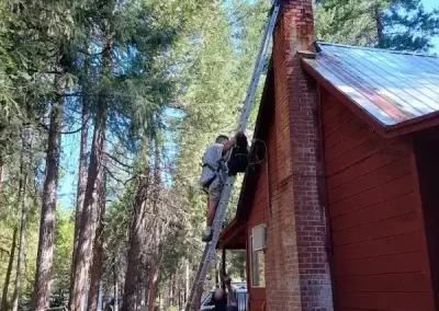 Affordable Fireplace Cleaning