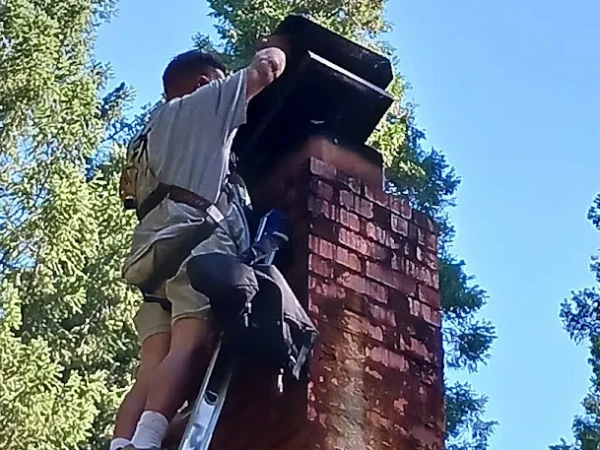 Chimney Cleaning